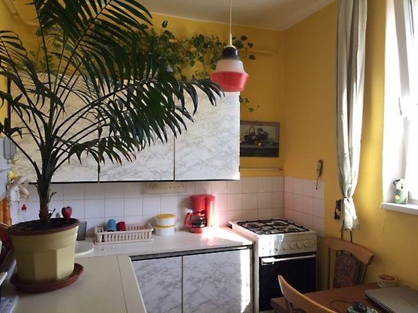 Zöldfa, Szeged képe