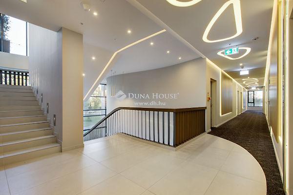 Kehidakustány képe