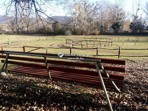 Alkotmány, Tatabánya képe