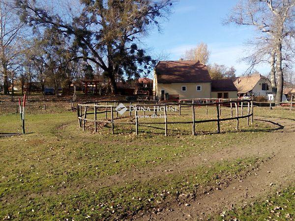 Alkotmány, Tatabánya képe