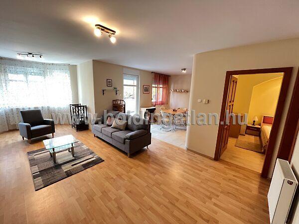 Irányi Dániel, Kaposvár képe