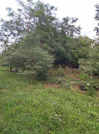 Kossuth, Szabolcsbáka képe