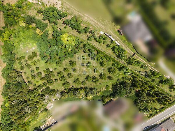 Zöldövezeti, Iklad képe