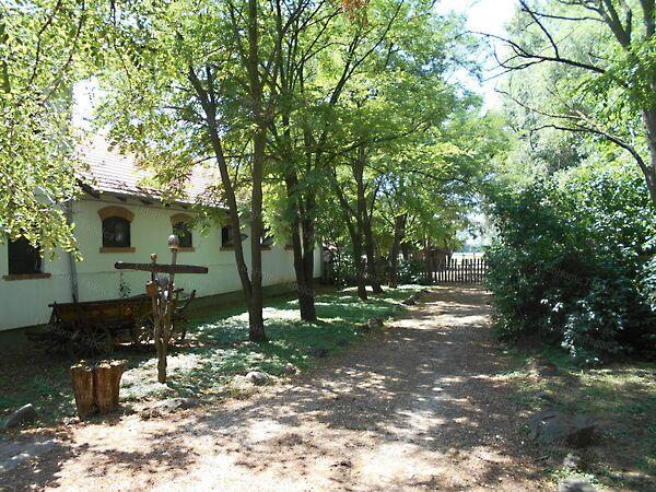 Somlószőlős képe