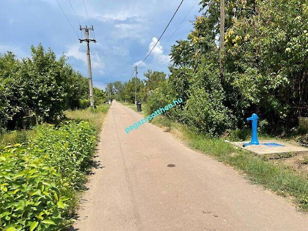 Arany, Tiszaörs képe