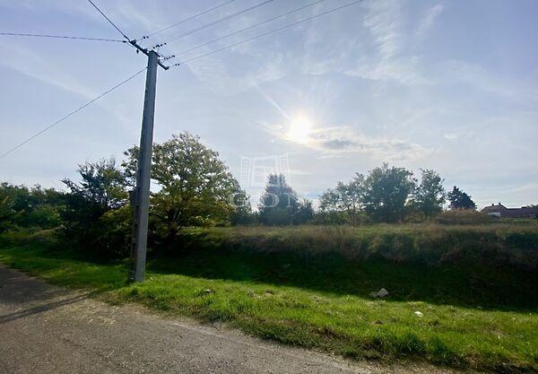 Csősz, Csősz képe