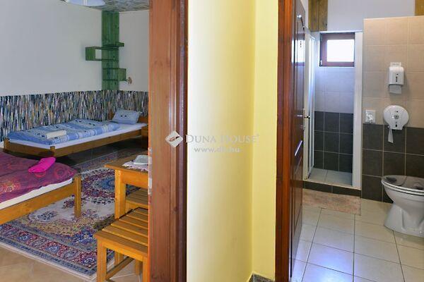 Alkotmány, Szegi képe