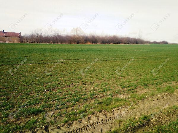 Szentpéterúr képe