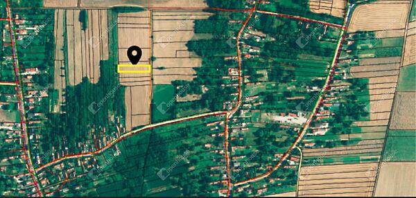 Szentpéterúr képe