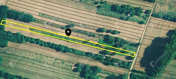 Szentpéterúr képe