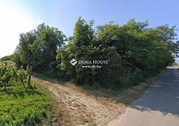 Kolozsvár, Hegyszentmárton képe