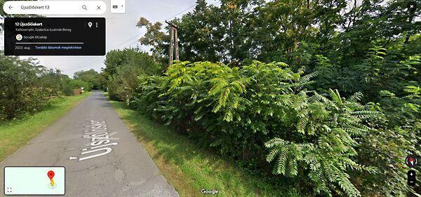 Újszőlős kert utca, Kállósemjén képe