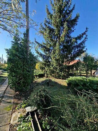 Balatonboglár képe