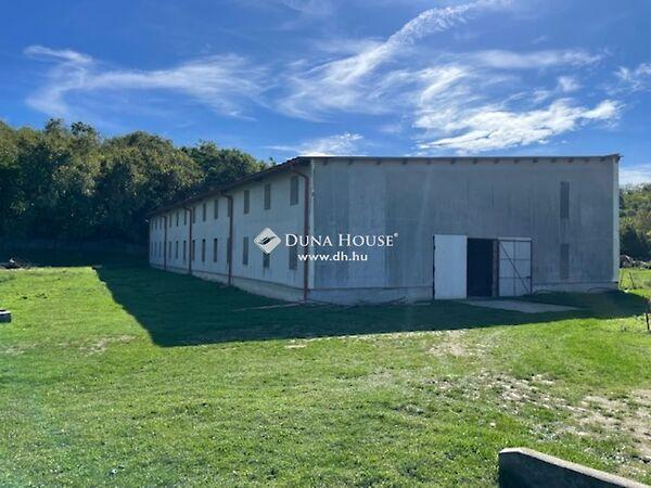 Vasvári Pál, Bodmér képe