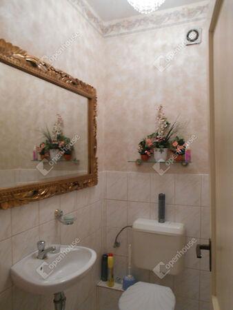 Szabó Lőrinc, Hévíz képe