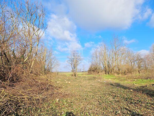 Csendes, Zalavég képe