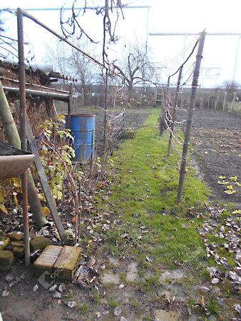 Hock János, Zalaegerszeg képe