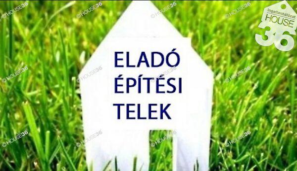 Boróka, Kecskemét képe