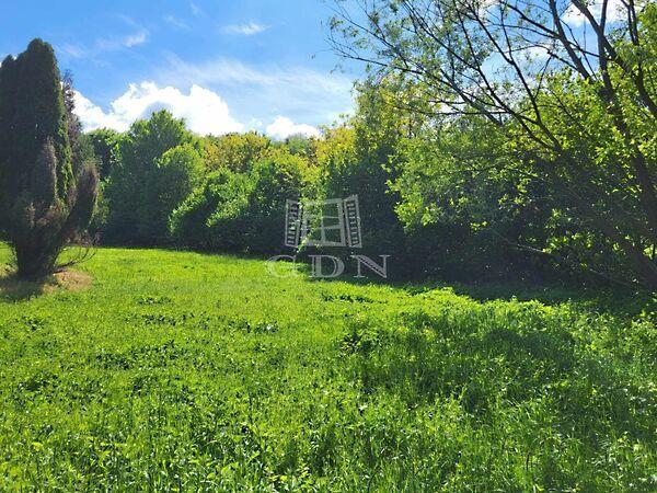 Patakparti, Keménfa képe