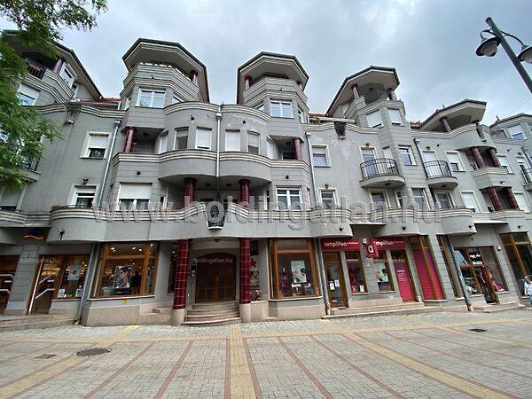 Irányi D., Kaposvár képe