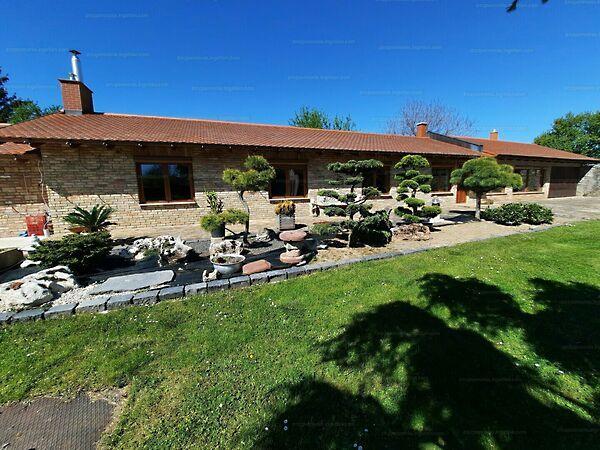 Szabadság, Oroszi képe