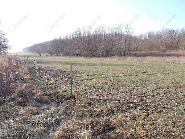 Pusztamagyaród képe