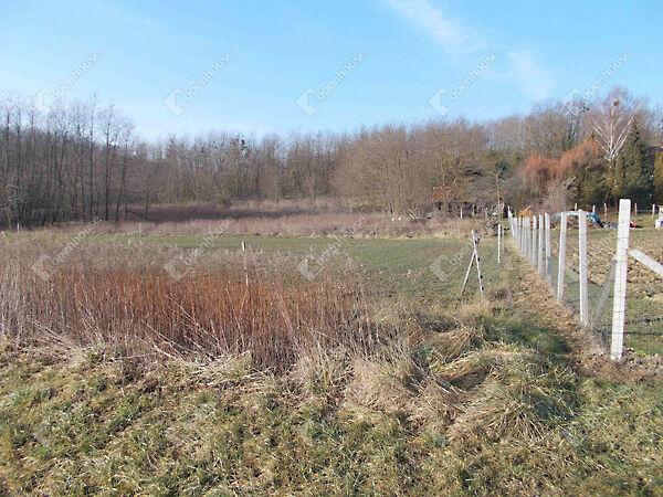 Pusztamagyaród képe