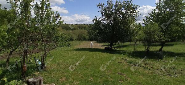 Csonkahegyhát képe