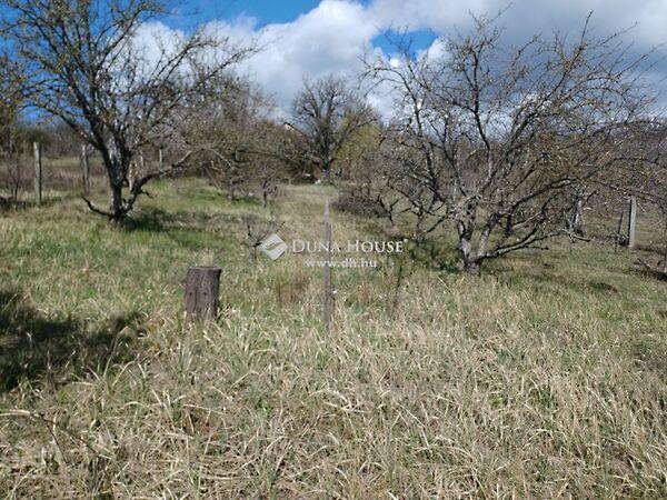 Cseri szőlők, Úny képe