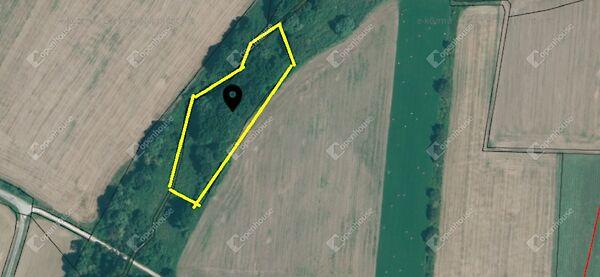 Szentpéterúr képe