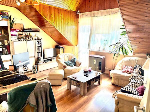 Vasas Szent Péter, Szeged képe