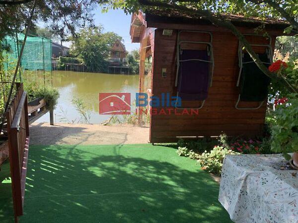 Őszirózsa, Budapest, XXIII. kerület képe