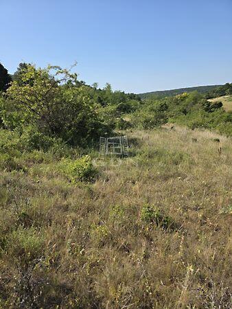 Balatonalmádi képe