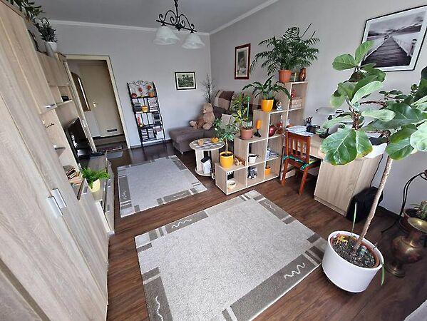 Dunakeszi, Dunakeszi képe