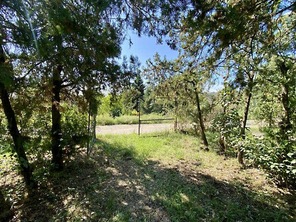 Kéknefelejcs utca, Törökbálint képe