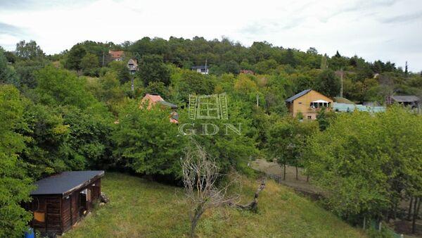 Alkony, Szentendre képe