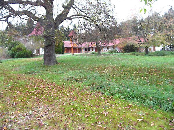 Barnak, Pölöske képe