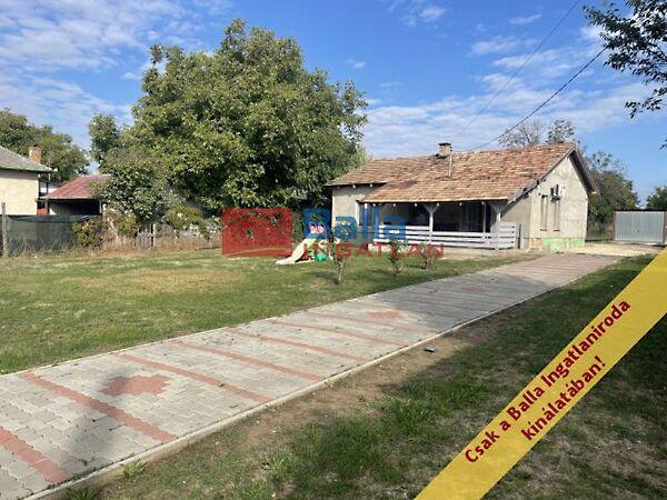 Gárdonyi Géza, Ercsi képe