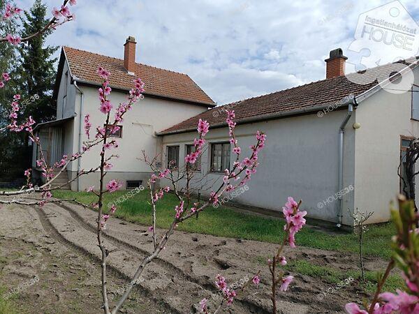 Kiskunfélegyháza képe