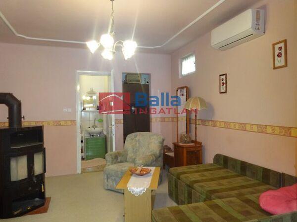 Nyúl, Tiszakécske képe