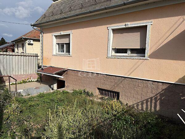 FALUSI CSOKRA IS, Úri képe