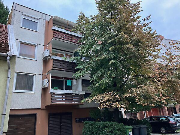 Dugonics, Szeged képe