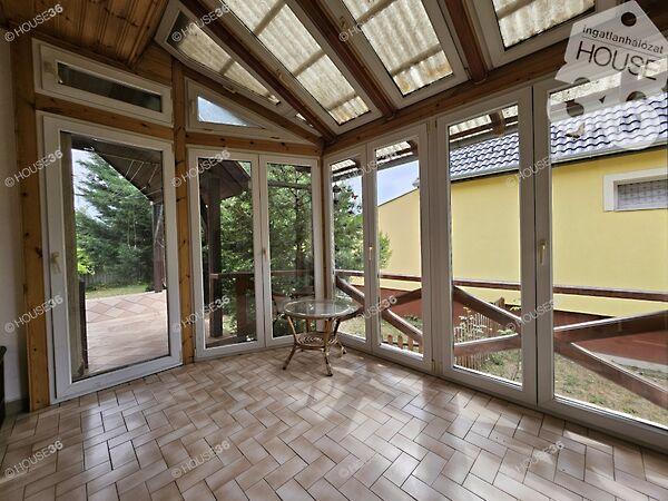 Pelikán, Kecskemét képe