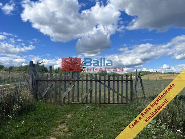 Őrbottyán lankás legelőin, Őrbottyán képe