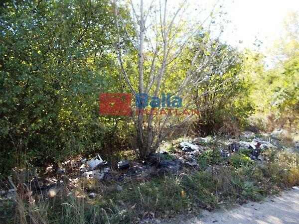 Szellős, Szigetszentmiklós képe