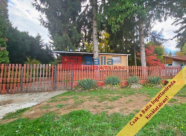 Juhász Gyula, Bánk képe