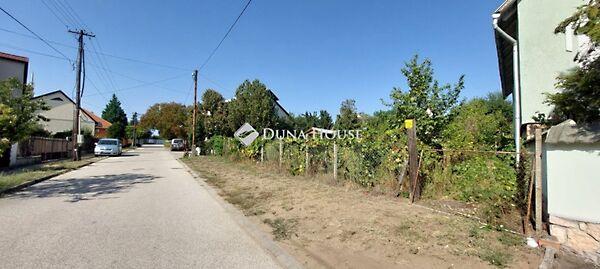 Frankel Leó, Tata képe