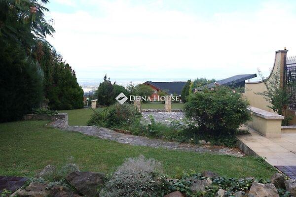 Flóra, Budapest, III. kerület képe