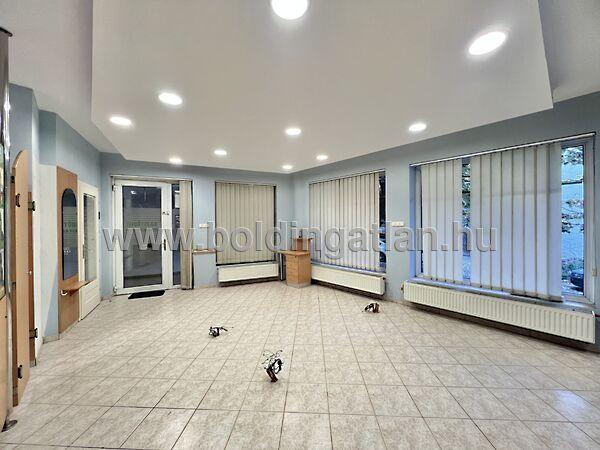 Irányi D., Kaposvár képe