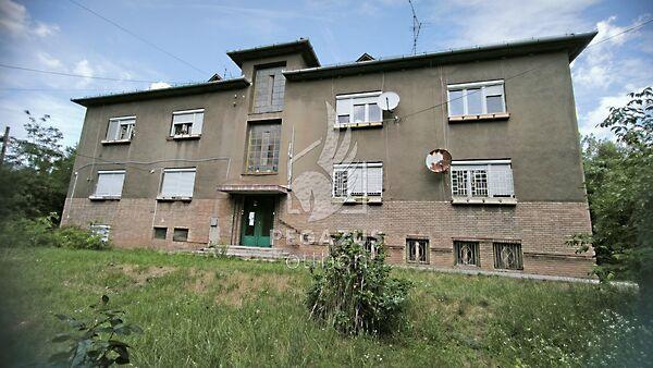 Alkotmány, Ózd képe